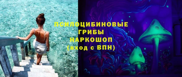 mdpv Магас