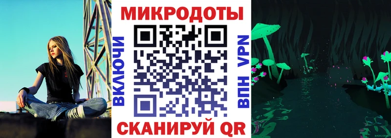 Галлюциногенные грибы MAGIC MUSHROOMS  Купить закладки  Гатчина 