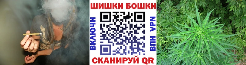 Купить закладки  Гатчина  Бошки марихуана SATIVA & INDICA 
